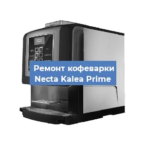 Чистка кофемашины Necta Kalea Prime от накипи в Новосибирске